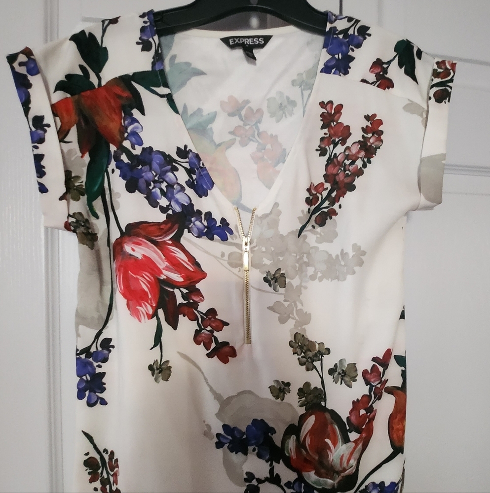 Express V Neck Floral Gramercy Tee, Small (EUC)